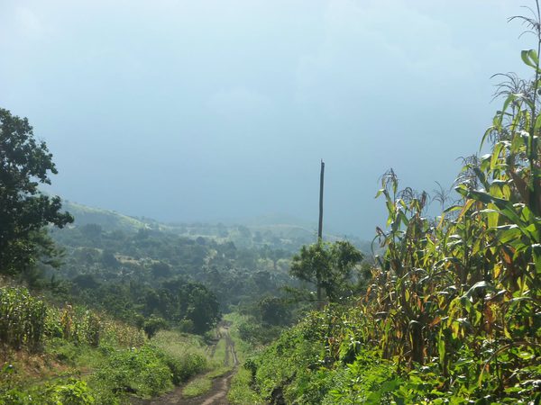 Ligne en zone de collines